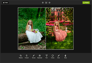 Photo Editor Online Mini<br><br>All the tools for photo editing and nothing more!